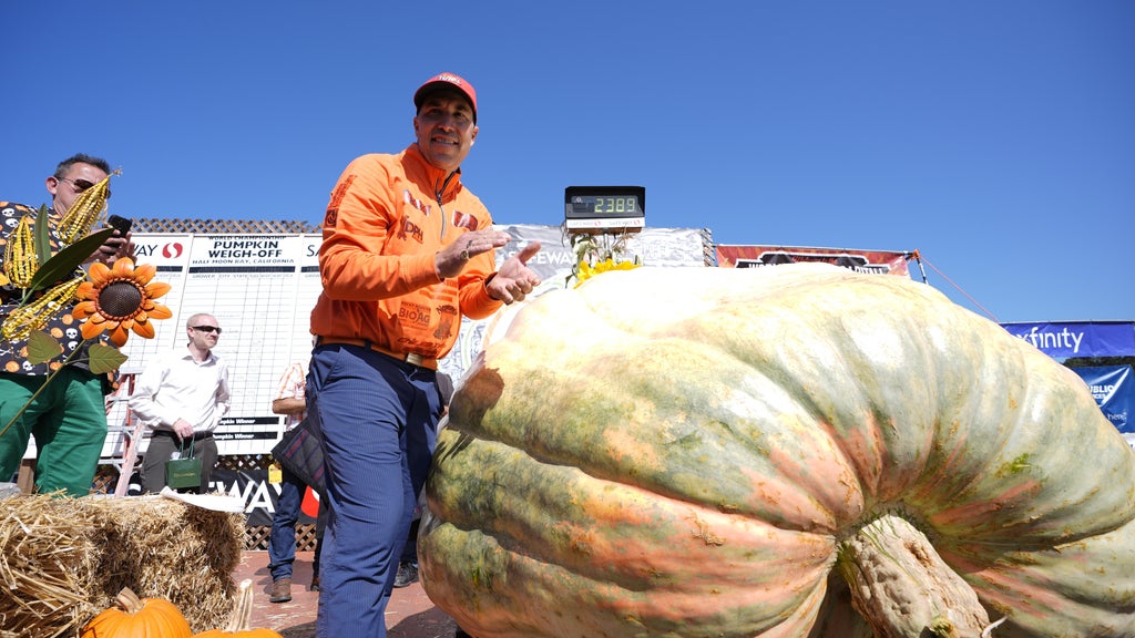 Minnesota man drives hauls giant pumpkin over 2,000 miles to California competition — CBS Bay Area (KPIX), Moraga Community news