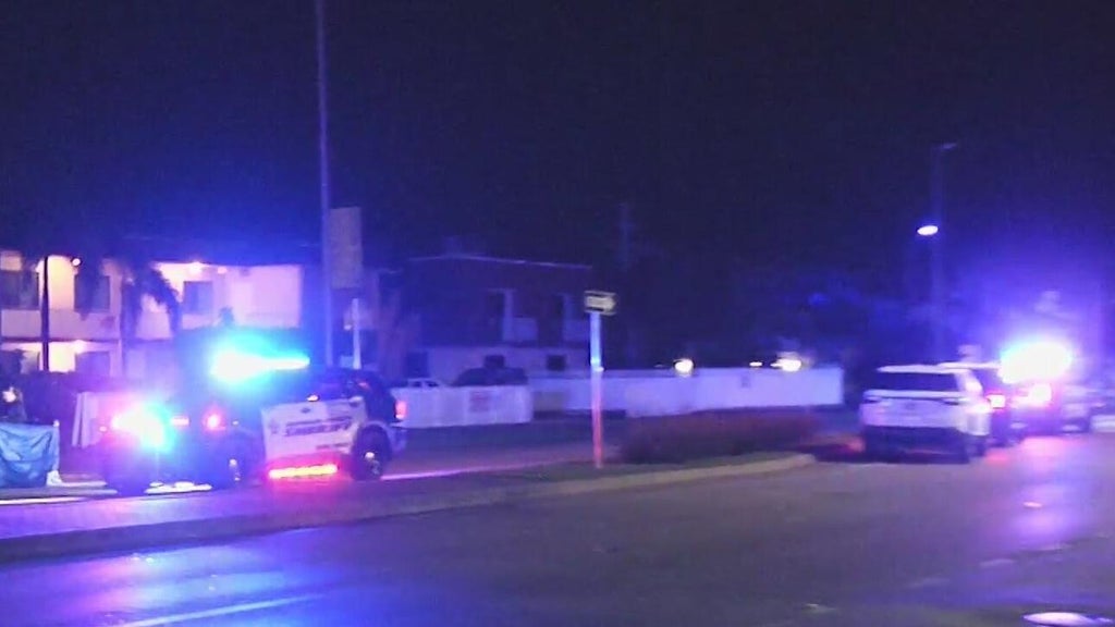 Woman accused of killing man in Dania Beach hit-and-run, BSO says — CBS Miami, Moraga Community news