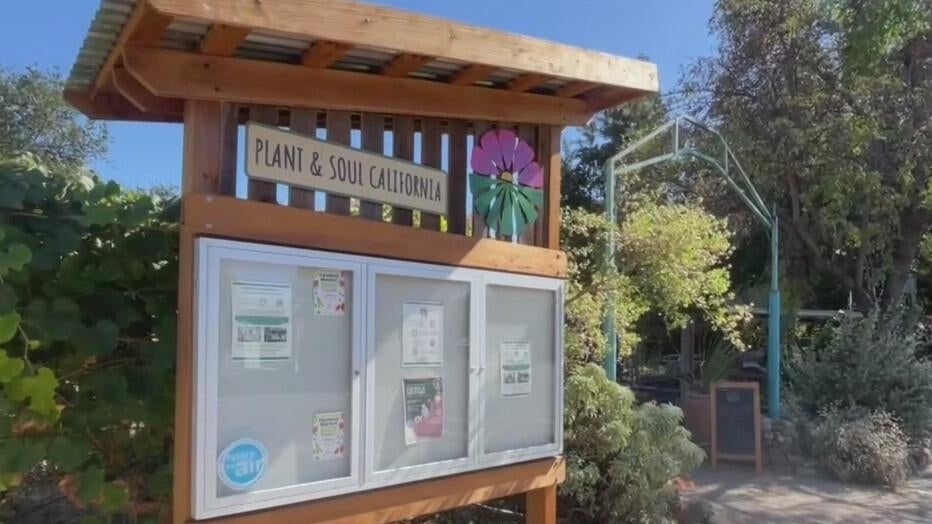 San Jose community garden told to leave as land is sold to developer — CBS Bay Area (KPIX), Moraga Real Estate news