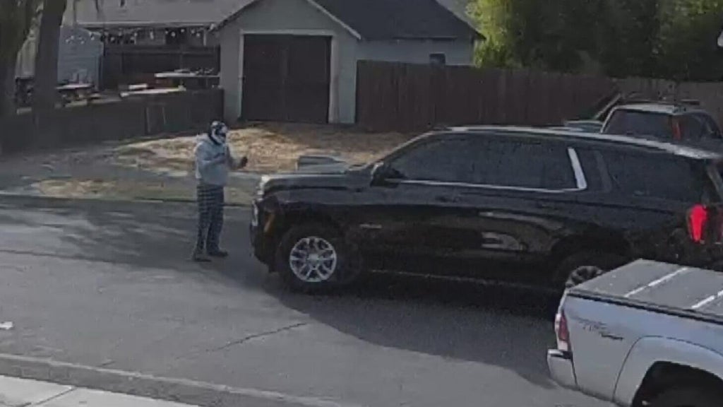 Woodland police dispute DHS account of ICE agent's collision with pedestrian — CBS Bay Area (KPIX), Moraga Health news