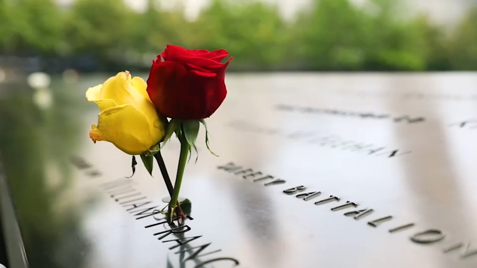 Second 9/11 victim identified with breakthrough genetic genealogy, NYC officials say
— ABC 7 Bay Area
