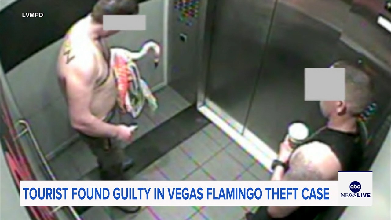 Man who snatched Peachy the flamingo from Las Vegas hotel exhibit found guilty of animal cruelty

       — ABC 7 Bay Area, Moraga Arts news
