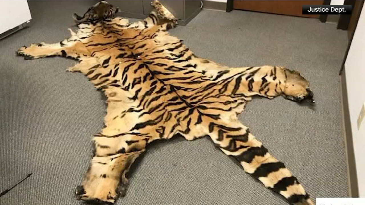 California couple pleads guilty to trafficking wildlife
— Moraga Community news