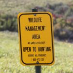 Pointers for Public Land Hunting — NewsDakota, Moraga Sports news