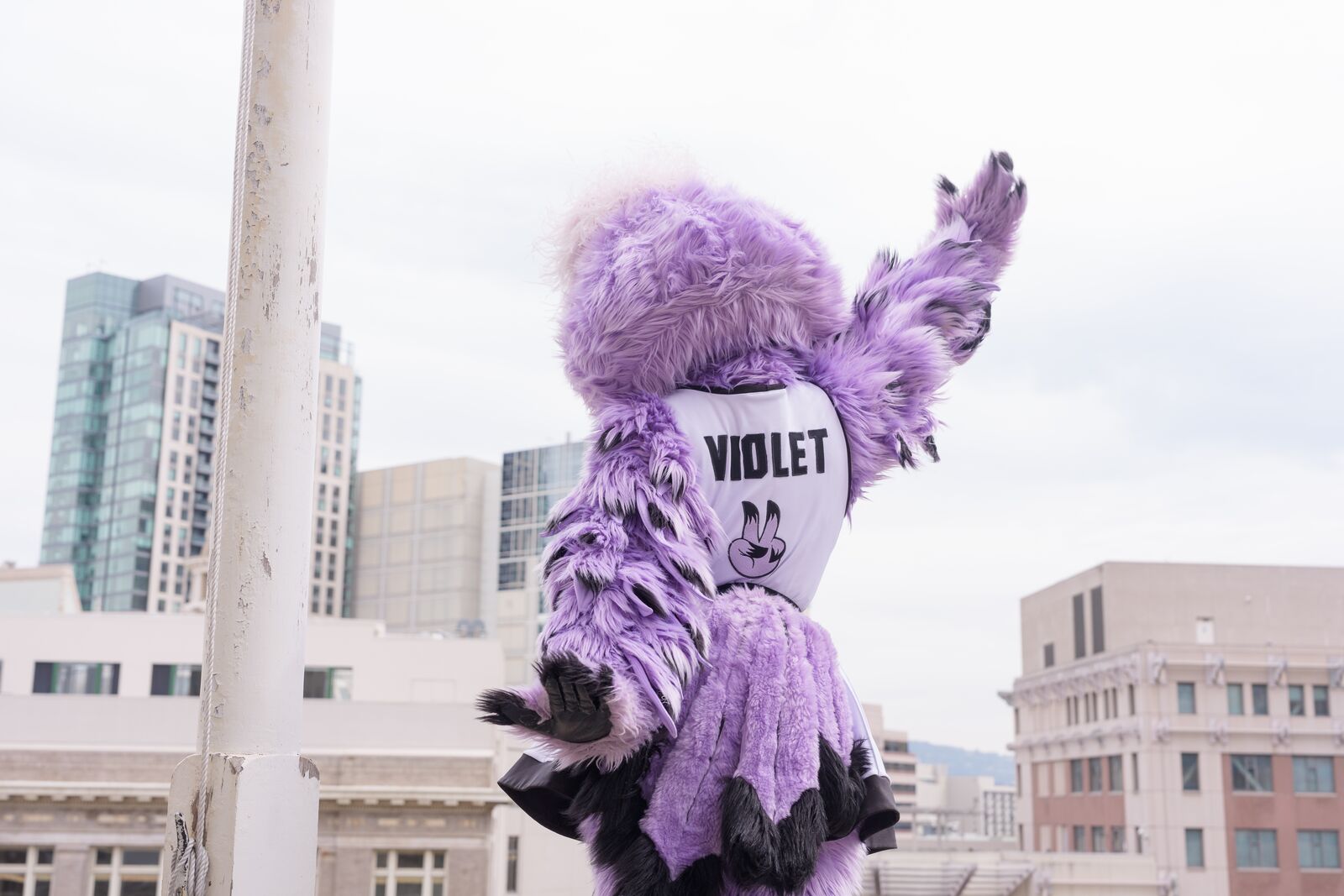 This week in Oakland: an outdoor Valkyries watch party, and singersongwriter Laura Anglade at Yoshi’s — The Oaklandside, Moraga Arts news