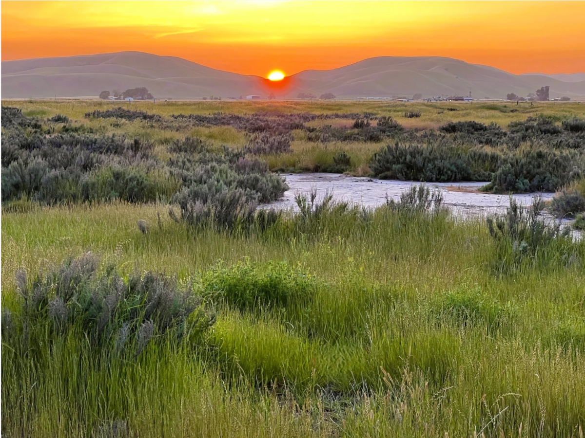 331 Acres Of Tri-Valley Wildlife Habitat, Open Space Permanently Protected — Danville Patch, Moraga Community news