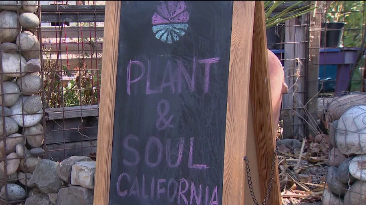 San Jose community garden faces possible eviction — KTVU FOX 2 Bay Area, Moraga Schools news