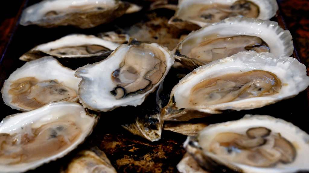 Sewage leak temporarily halts Tomales Bay oyster harvest — KTVU FOX 2 Bay Area, Moraga Business news