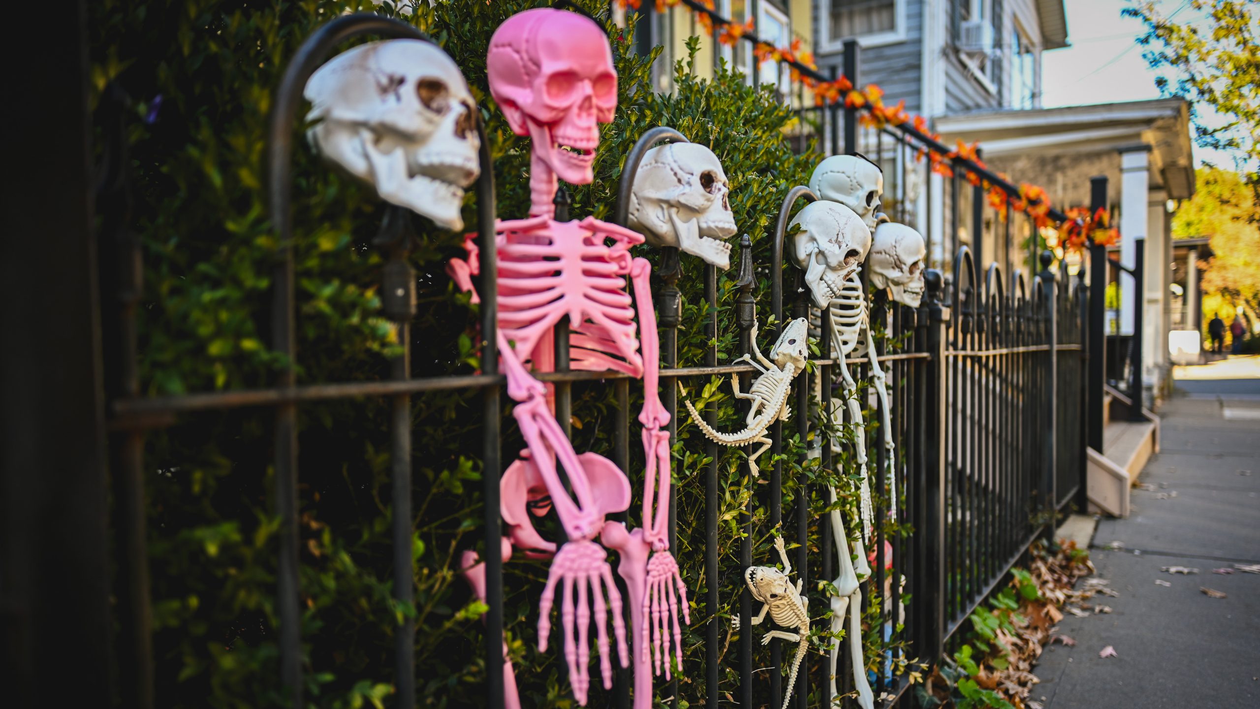 America's best cities for Halloween, ranked — KTVU FOX 2 Bay Area, Moraga Community news